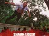 SHAUN OF THE DEAD Lobby card