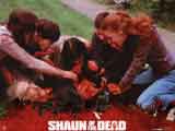 SHAUN OF THE DEAD Lobby card