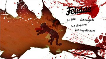 Menu 1 : FELIDAE