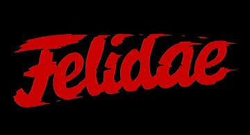 Header Critique : FELIDAE