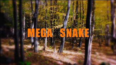 Header Critique : MEGA SNAKE