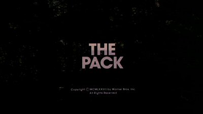 Header Critique : PACK, THE