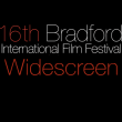 Bradford 2010 : Widescreen Week-end - Critique