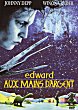 EDWARD AUX MAINS D'ARGENT (EDWARD SCISSORHANDS) - Critique du film