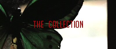 Header Critique : THE COLLECTION