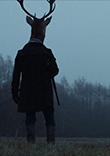 LES ANIMAUX ANONYMES
