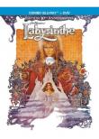 Jaquette : LABYRINTH