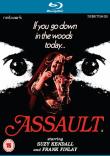 ASSAULT SUR LE BLU RAY
