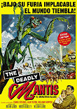 Critique : DEADLY MANTIS, THE (LA CHOSE SURGIT DES TENEBRES)