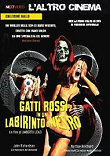 NEXT VIDEO : L'ALTRO CINEMA