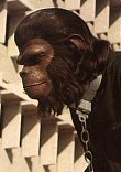UNE NOUVELLE PLANETE DES SINGES