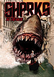 SHARK IN VENICE