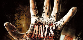 CRITIQUE : ANTS