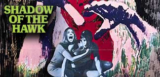 CRITIQUE : SHADOW OF THE HAWK