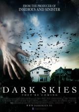 DARK SKIES (2013) - Poster 2