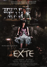 EXTE : HAIR EXTENSIONS - Poster