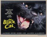 THE BLACK CAT - Poster