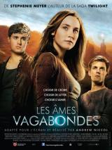 
                    Affiche de LES AMES VAGABONDES (2013)