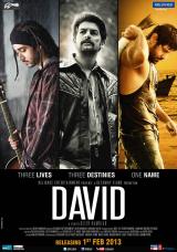
                    Affiche de DAVID (2012)