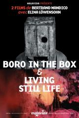 
                    Affiche de BORO IN THE BOX (2011)