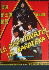
                    Affiche de LE DEFI MORTEL DU KARATEKA (1979)