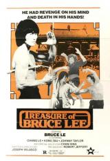 
                    Affiche de LE TRESOR DE BRUCE LEE (1979)