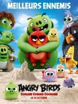 
                    Affiche de ANGRY BIRDS, COPAINS COMME COCHONS (2019)