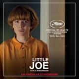 Little Joe