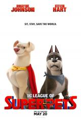 
                    Affiche de KRYPTO ET LES SUPER-ANIMAUX (2022)