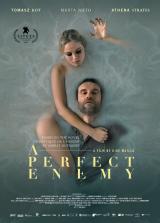 
                    Affiche de A PERFECT ENEMY (2020)