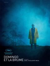 
                    Affiche de DOMINGO ET LA BRUME (2022)