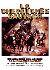 
                    Affiche de LA CHEVAUCHEE SAUVAGE (1975)