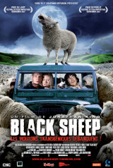 BLACK SHEEP