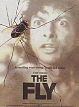 THE FLY