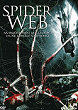 IN THE SPIDER'S WEB DVD Zone 2 (France) 