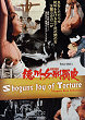 TOKUGAWA ONNA KEIBATSU-SHI DVD Zone 0 (Hollande) 