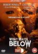 WHAT WAITS BELOW DVD Zone 2 (Angleterre) 