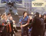 AN AMERICAN WEREWOLF IN LONDON Lobby card