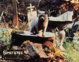 PET SEMATARY Lobby card