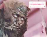 SPACEHUNTER : ADVENTURES IN THE FORBIDDEN ZONE Lobby card